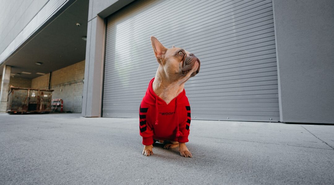 Photo Fashion influencer